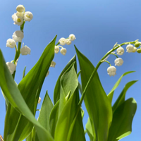 �������������ҿ����ҵĻ���