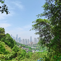 ��ˮϪͽ����ķ������