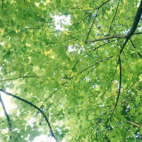 �������ã�΢�粻���Щ�������