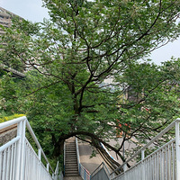 �������̵������Ź㳡����̲���ݺ�ɳ̲���𽢡���������������