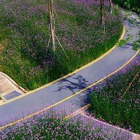 ?#���޲ݿ���ԭ����ô��#���ʵ���ĩ�͵���������һ�˰�