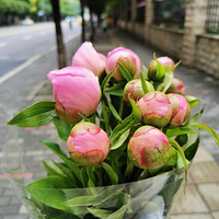 �������ҩ�ֱ����ֺÿ���