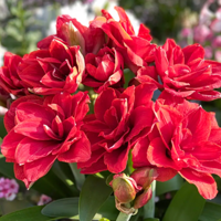 ��Ǹ�����ˣ��춥��Ĵ���2022