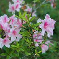 ��������̤����ȥ�����޹��ͻ������󡫡�