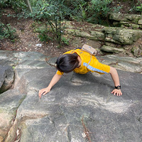 ��ɽ/ͽ��/����/Ұ�����ֻ�����Ұ������