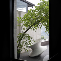 ����Ʒ�ջ�ÿڱ�����Ʒ�����ϰ�ĵ��� | �������ʦ����13��