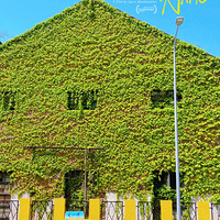 ����¶Ӫ+���ص���+���޴򿨣����ɸ㶨һվʽ���Σ�