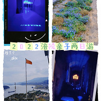 2022̤�༾��������������