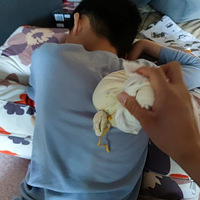 ƽռңҲ޵衪˵˵ҵļͥ