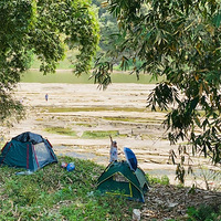 �տ�¶Ӫ/��ɽժ����/����ϴ�ε�����