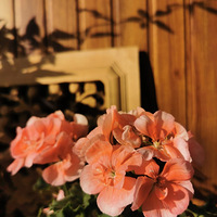 ��һ���Ļ�������