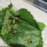 꼶ϣʱ50죬ϱڶ