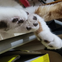 ��jio��ã��һ�������������˯����͵͵������ú