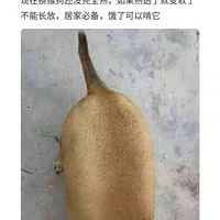 xyϵֲƷ