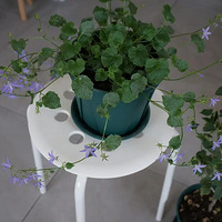 ��ձ���̨Ҳ�����ʺ��ֵĴ��������