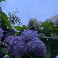 ��¥������Щ����������