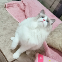 ��һ����ȥ�޽�