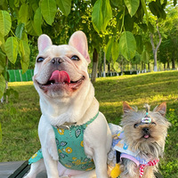 ���幫԰�޹�̫������