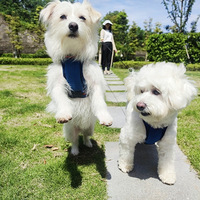 ��С�׵Ŀ�����һ