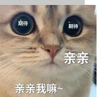 ¾鹫˺5wanghong곹װˣ