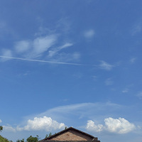 黳