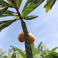 �����������ˣ�����