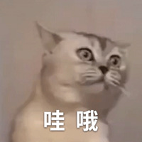 ͨ!10߶ӭҪչ