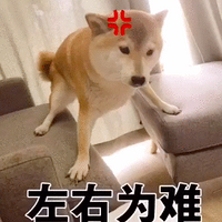 IFSĸ׽˵ĸ׵İֽ