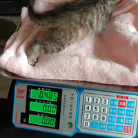 2022.5 è������