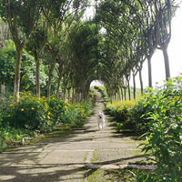 10�����Baby��������ô�ɰ�