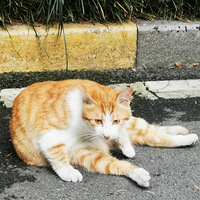 ������·������������С����