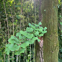 �����Ҽ������а�������