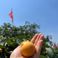 ժ