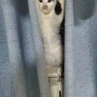 һֱ��Ϊ�Ҽ��ϴ�����ţ�����������