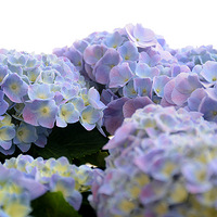 ���鲻��������һ������