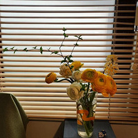 �ң����л����Ȱ�����