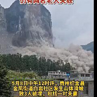 ɽ廬