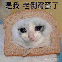 ΪҽԺӶĿ