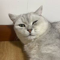 �����������Ӻó�