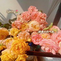 ɹɹ�ҵĻ����ɣ���Ȼ��һ���Ѿ�������