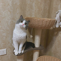 �����Ǽ����׵ܵ��Ҹ�ϱ��