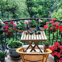 ���������� �Ҿ��Ǵ�˵�е����ÿ�������