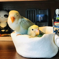 ���������������˺����ģ��ܺ������మ��ɱ�ճ�