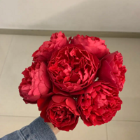 �¼���һ�����ѿ��꣬�������ƴ���