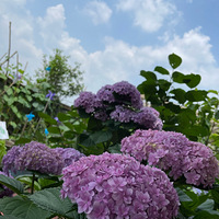 ���������������ƣ��ƺͻ����ǳ�ǿCP