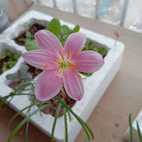 �ҵġ��������㡱������