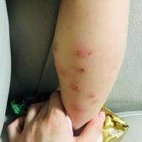 ޱȵΡɸࡢ;ϲݸ಻ȫó涣ҧĸ