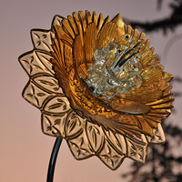 һ��������װ��ƵĹ���ʦ֮�ҿ�װ�ˡ�