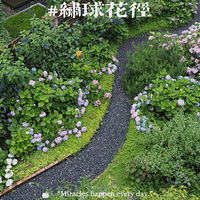 ���������Ļ�԰������������ϲ������̫�������������������£�