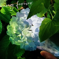 ����ƣ��������淨